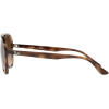 Ray-Ban Rb4376 Aviator Sunglasses